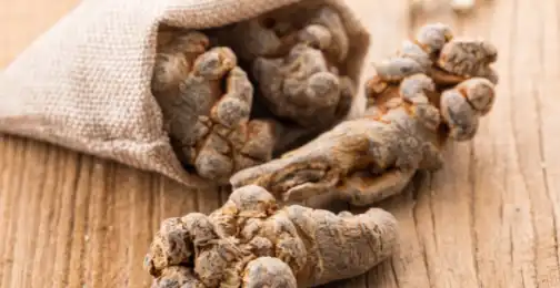 Can notoginseng saponins promote tissue regeneration?